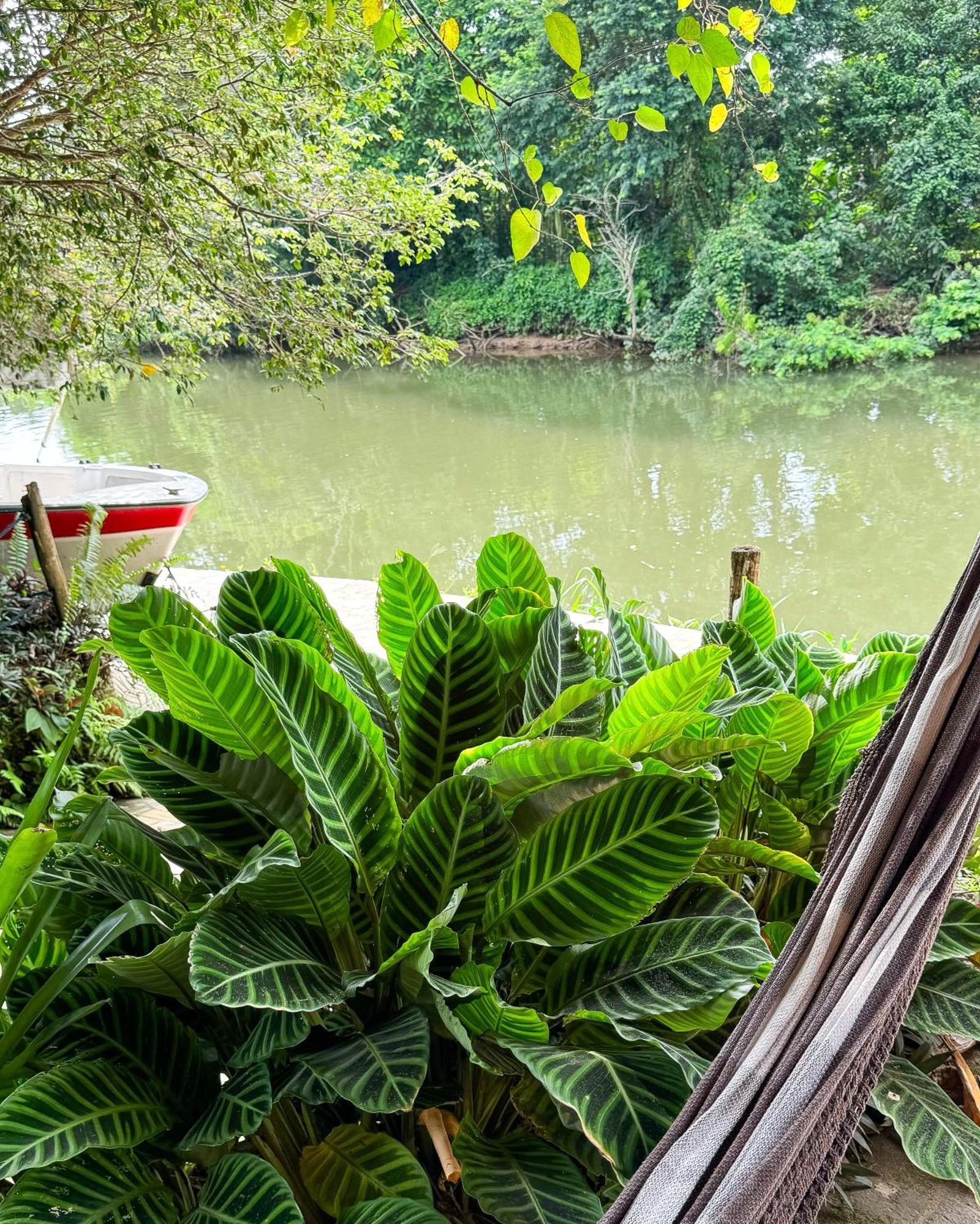 Pousada Rumo Dos Ventos Paraty Ngoại thất bức ảnh